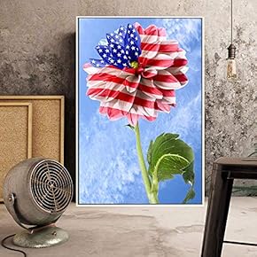 Floating Framed Canvas Wall Art for Living Room, Bedroom American Flower Canvas Prints for Home Decoration Ready to Hang - 16x24 inches
