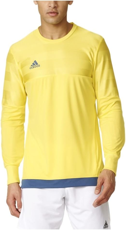 adidas entry 15 goalkeeper jersey