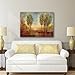 Portfolio Canvas Decor Large Printed Canvas Wall Art Painting, 30 by 40-Inch, Summer Solstice, Framed and Stretched Ready to Hang