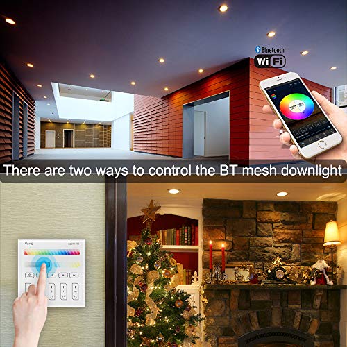 Wireless Bluetooth 5W 3.8Inch LED Recessed Downlights RGBWC 5 in 1 Spotlight Spot Dimmable AC 100-240V Smart Ceiling Lights with Touchscreen Smart Switch, BT Mesh Smart Bridge, Set of 10