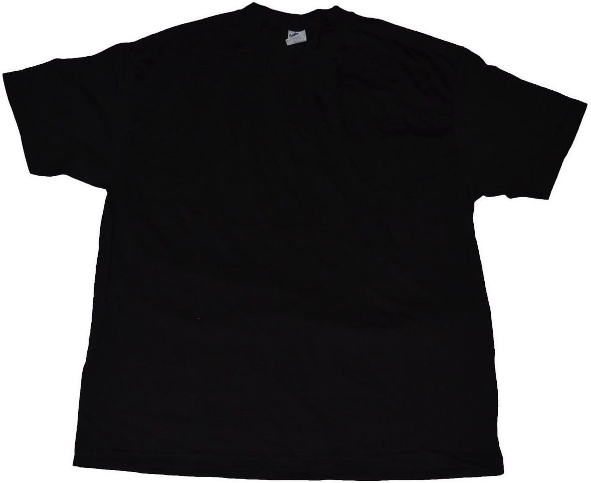 Alstyle Men's Solid Plain Tshirt T Shirts Large