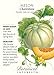 Melon Charentais Seed