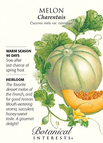 Melon Charentais Seed Melon Charentais Seed