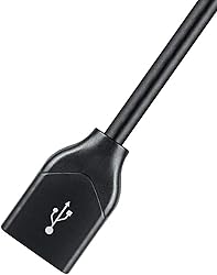 AudioQuest DRAGONFLYCOBG USB Digital-to-Analog