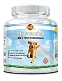 Glucosamine for Dogs and Cats - Joint and Hip Support Supplement with Chondroitin, MSM for Pets - Mobility Boosting Pain Relief Formula- Reduces Arthritis and Inflammation - 60 Chewables