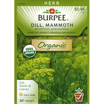 herb burpee packet mammoth dill seed organic