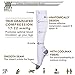 Cotton Compression Socks for Women & Men - Comfortable & Breathable Support Stockings for Nurses, Travel, Pregnancy, Flight, Recovery - Boost Circulation to Fight Edema, Shin Splint & Pain (White,M)