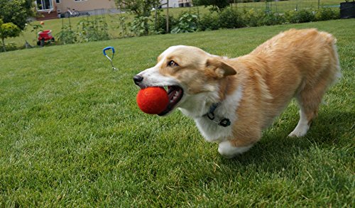Pet Pizazz 3-Pack 100% Wool Dog Balls (Indoor or Outdoor Toy, Boutique Quality, All-Natural)