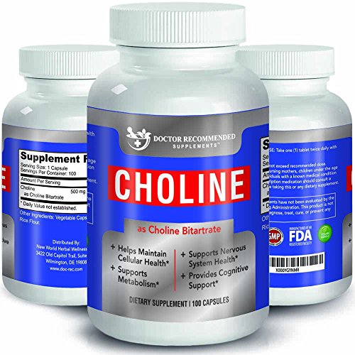 High Quality Choline 500 mg 100 Veggie Capsules by Import It All