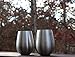Stainless Steel Wine Glasses – Set of 2 Unbreakable Glasses for Wine – Premium Stainless Steel Portable Wine Cups – Fine Dining Accessories for Red & White Wine –Perfect Wine Gifts for Friends