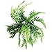 Fake Faux Artificial Boston Ferns Plants Greenery Bushes for Indoor Outside Home Garden Party Decor 4 Bunches 24 Leaves Per Bunch by ZXSWEET