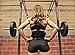 Fire Team Fit Weight Lifting Belt for Men and Women, 6 Inch, Bodybuilding & Fitness Back Support for Cross Training Workout, Squats, Lunges (32