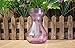Outflower 1pc Colorful Hydroponic Vase Hyacinth Glass Vase Desktop Plant Hydroponic Vase for Home/Office Decor(Purple)