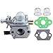 Hipa C1U-K52 C1U-K47 Carburetor for Echo SRM2100 SRM2110 GT200 GT200EZR GT2000 GT2000R GT2100 PAS2000 PAS2100 PE2000 PP1200 PP800 PPF2100 PPF2110 PPSR2122 PPT2100 Power Pruner Trimmer