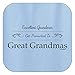 ThisWear Gift for Excellent Grandmas Get Promoted to Great Grandmas Crewneck Light Blue