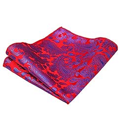 Alizeal Handmade Mens Paisley Self Tied Bow Tie and