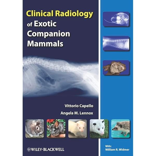 Exotic Companion Mammals 洋書診療　エキゾチックアニマル Clinical Radiology of Exotic Companion Mammals: 9780813810492
