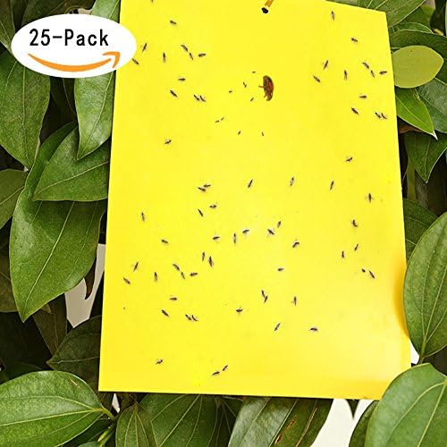 XYLand 15Pack Dual Sticky Fly Paper Yellow Sticky Traps for Flying Plant Insect Such as Fungus Gnats, Whiteflies, Aphids, Leafminers (9.8x7.8 In, Natural &amp; Non-Toxic)(15 pcs)