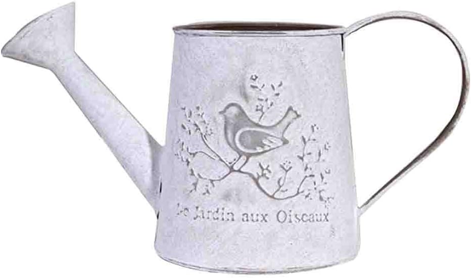 Watering Honey Elegant French Style Country Primitive Pitcher Flower Vase Watering Can Planters for Wedding Home Bar Decoration