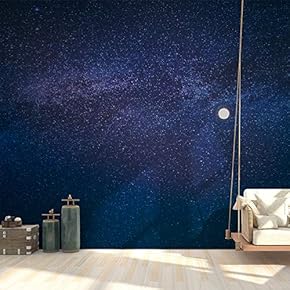 Wall Mural Starry Sky Removable Self-Adhesive Large Wallpaper - 66x96 inches