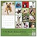 2020 French Bulldogs Wall Calendar