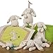Mary Meyer Gift Boxed WubbaNub Soft Toy and Infant Pacifier, Oatmeal Bunny