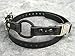 Educator Bungee Dog Collar, Biothane, Waterproof, Odorproof, Metal Buckle and D Ring with Comfort Bungee Loop Adjustable for Custom Fit, 3/4-Inch, Black