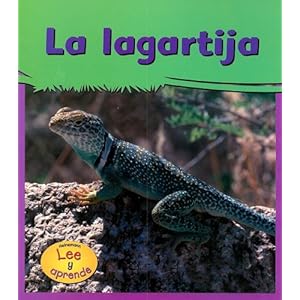 1: La Lagartija/lizards (Mi gran jardin / My Big Backyard) (Spanish Edition)