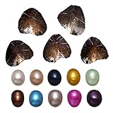 10 PC Freshwater Cultured Pearl Oyster Oval Pearls oysters with pearls inside Ten Colors