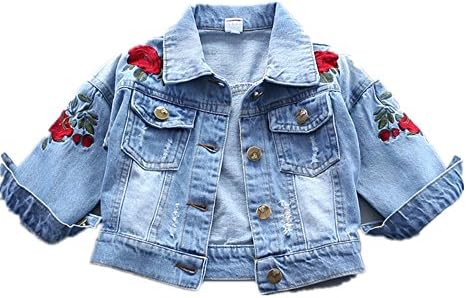 Baby Girl's Denim Jacket With Rose Flower Embroidery,Toddler Ripped Denim Coat For Girl (5T)