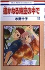遙かなる時空の中で 第11巻