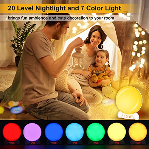 DreamSky Digital Alarm Clock Radio Wake Up Light Clock for Bedroom