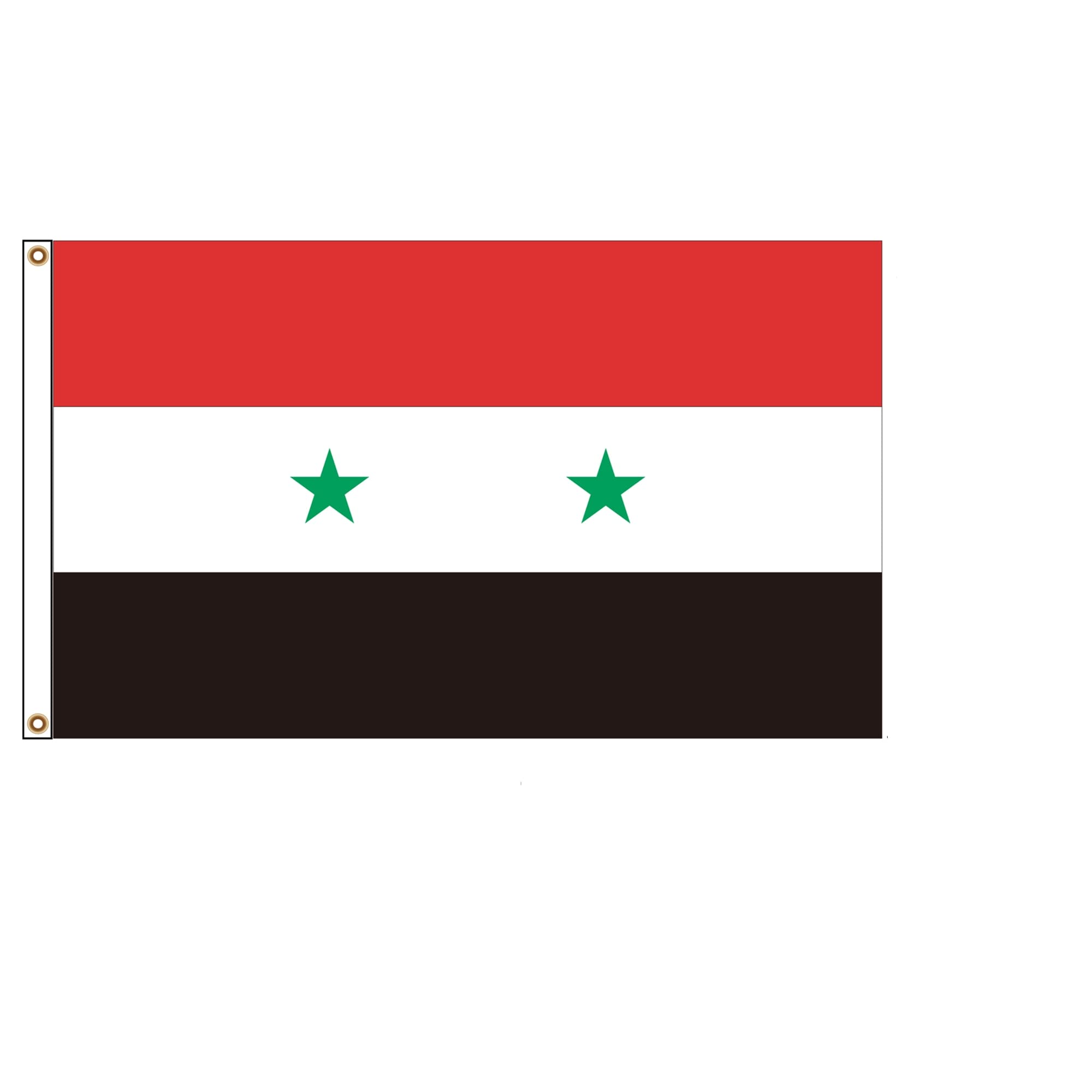 PinkDisplay Aisa flag (Syria)3x5ft(90x150cm) eyelets and double stitches