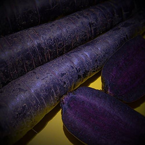 CARROT - PURPLE SUN (Hybrid) - multiples of 2,500 seeds