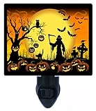 Halloween Night Light - Beware Take Care - Pumpkins & Bats