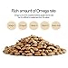 Our Story (Woori-ga)Roasted Star Seed Sacha inchi[Thailand] (8.8 oz X 2packs) Nuts/ Source of Omega 3,6 /Super Food/우리가 사차인치/印加果 sold by Stylebang