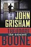 Theodore Boone: the Accused