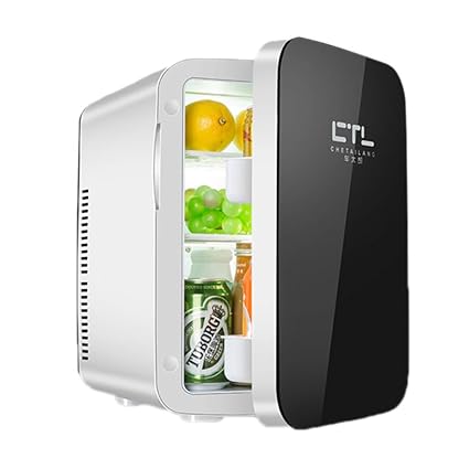 Amazon Com Zj Mini Refrigerator 15l Car Refrigerator