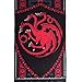 Game of Thrones Targaryen Felt Banner (12
