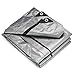 8x10 Heavy Duty Tarp, 10 Mil Thick, Waterproof, Tear & Fade Resistant, High Durability, UV Treated, Grommets Every 18 Inches. (Silver/Brown - Reversible) (8 x 10 Feet)