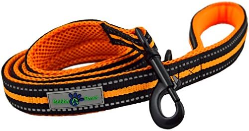 Durable Dog Leash, Soft Handle Durable Nylon Reflective Dog Leash by Bubba Paws, Nylon, Neoprene Comfort Grip, Colorful Mesh Accents, Accessory Ring, 5 Feet x 1 Inch (Orange)