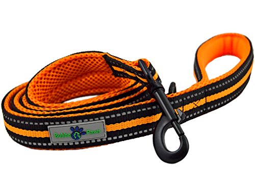 Durable Dog Leash, Soft Handle Durable Nylon Reflective Dog Leash by Bubba Paws, Nylon, Neoprene Comfort Grip, Colorful Mesh Accents, Accessory Ring, 5 Feet x 1 Inch (Orange)