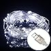 Excelvan Safe Low Voltage 10m/33ft 100 LED String Lights Copper Wire, USB Operated Waterproof Decorative Fairy Starry Lights for Christmas, Wedding, Home, Patio, Garden and Party, Holiday, Cool White