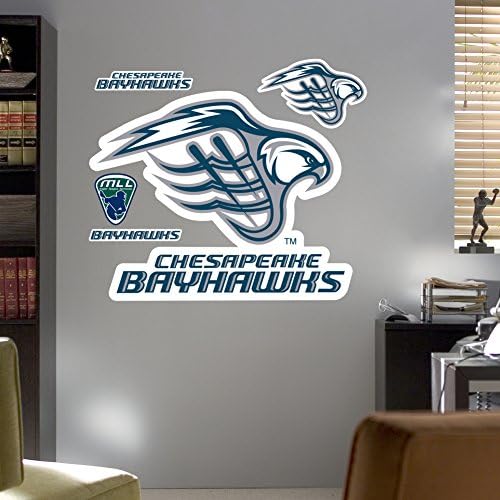Chesapeake Bayhawks Logo Wall Decal 48 x 38in