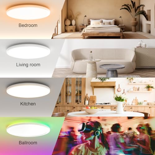 RGB Lampara de Techo, 30CM Lámpara de Techo LED con Control Remoto, ultrafina Luz de techo inteligente 3000K 4500K 6500K brillo regulable, para dormitorio, salón, habitación infantil,cocina (30W)