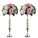 Sziqiqi Metallic Vase Centerpiece Stand 2Pcs for Wedding Table Centerpiece Flower Arrangement Tall Pillar Candle Holder, Gold 19.7in