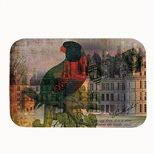 Poppylife Vintage Bird Bathroom Kitchen Front Door Mats Capet 20" x 32"