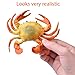 FUN LITTLE TOYS Sea Animals Bath Toys Rubber Ocean Creatures Figures Collection Underwater Marine Fish Sea Life Creatures 18 Pcs