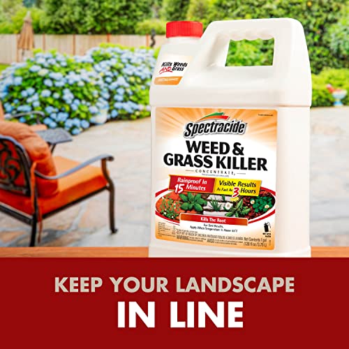 Spectracide Weed And Grass Killer Concentrate 1 Gallon, Use On Patios