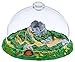 Insect Lore Ladybug Land Gift Set Live Habitat Kit